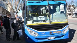 ¿a que se debe el nuevo paro de micros y por que no afecta a la plata, berisso y ensenada? ¿a que se debe el nuevo paro de micros y por que no afecta a la plata, berisso y ensenada?