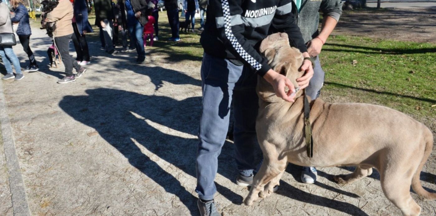 1560818200074.jpeg?x=14&y=213&width=1472&height=736&rotate=0&scaleX=1&scaleY=1&ow=1500&oh=996&&cw=1920&ch=950