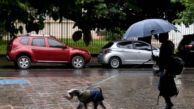 lluvia sorpresiva en la plata: ¿como sigue el pronostico para este viernes?