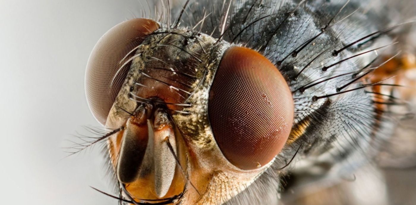 1578761435226.jpg?&cw=1920&ch=950