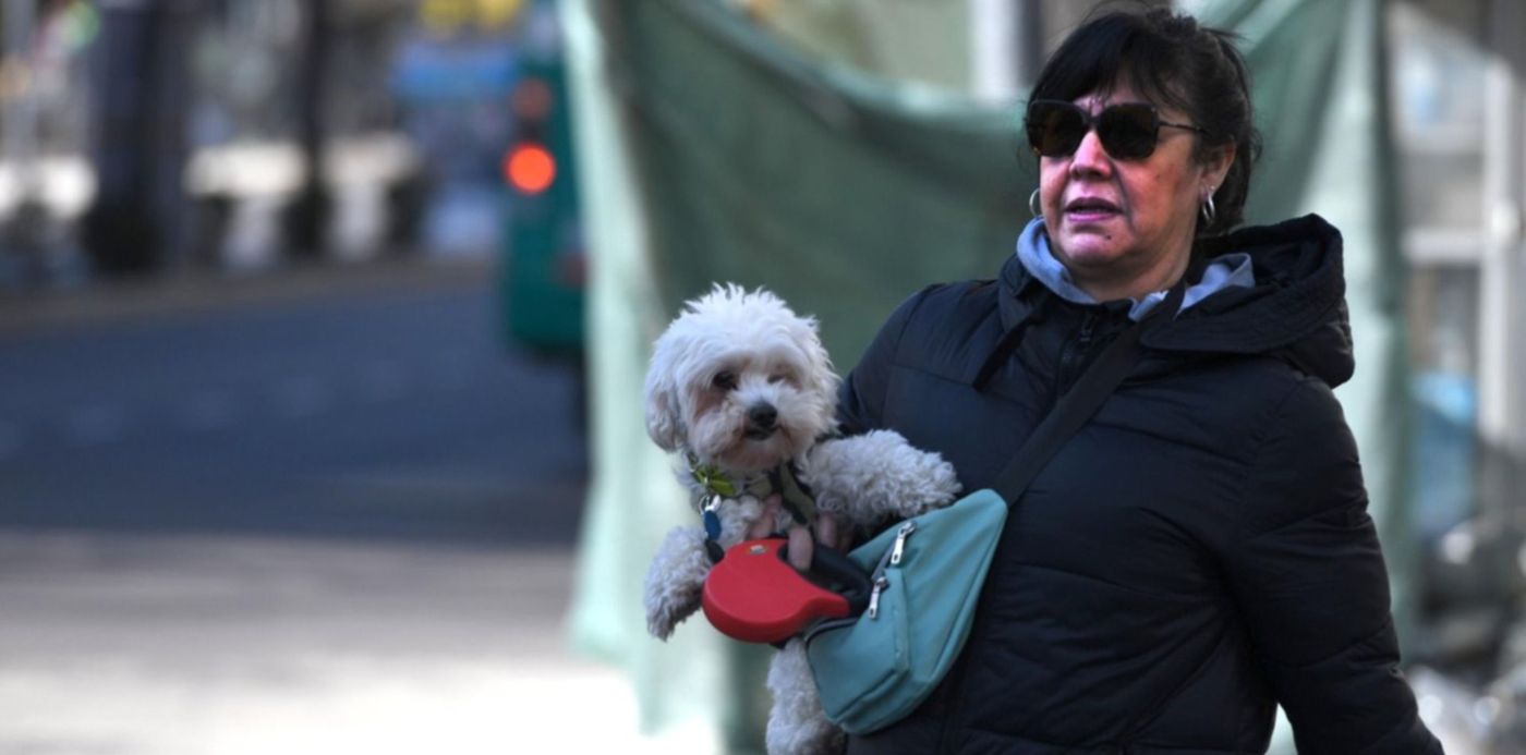 1689691157260.jpg?x=18&y=80&width=1483&height=742&rotate=0&scaleX=1&scaleY=1&ow=1500&oh=1130&&cw=1920&ch=950