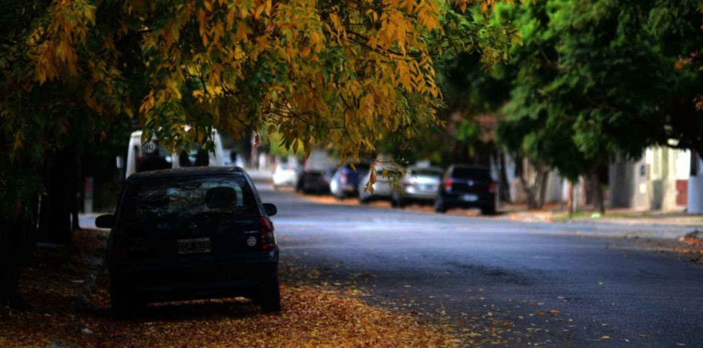 1587694278756.jpg?x=15&y=208&width=1469&height=735&rotate=0&scaleX=1&scaleY=1&ow=1500&oh=1121&&cw=1920&ch=950