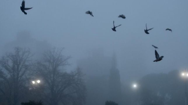 niebla, nubes y lluvias en la plata: un domingo para no salir de la cama