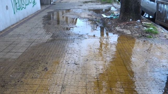 se formo una laguna: vecinos de barrio norte reclaman contra absa por un cano roto
