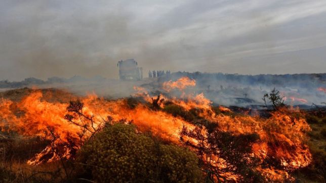 el humo por los incendios en corrientes podria llegar a la plata