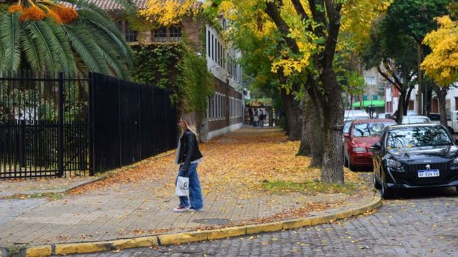 fresca y gris, asi seguira la semana en la plata al ritmo del otono