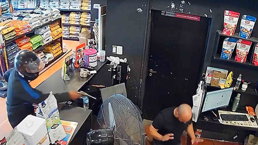 Entraron armados a un pet shop de La Plata y lo asaltaron a plena luz del día