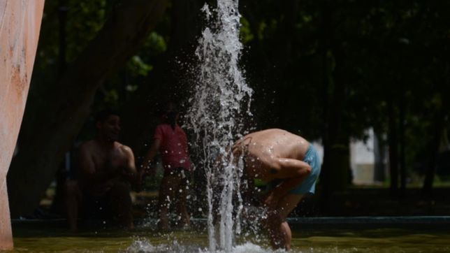 tras 61 anos, la temperatura maxima del mes de marzo marco un nuevo record en la plata
