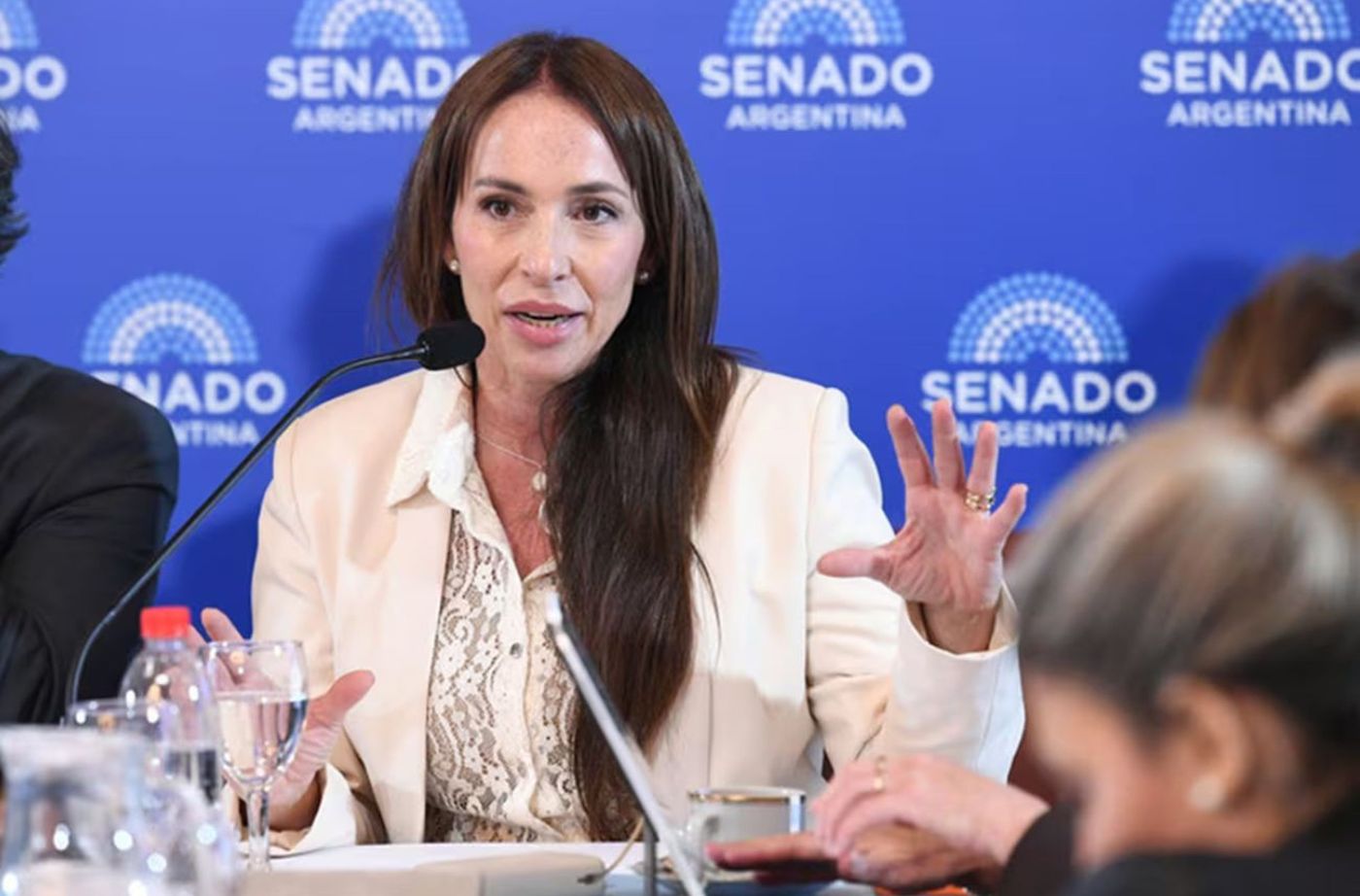 María Verónica Michelli