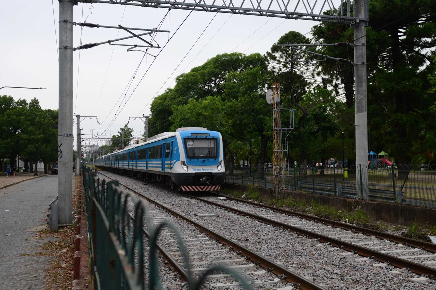 Tren Roca (5)