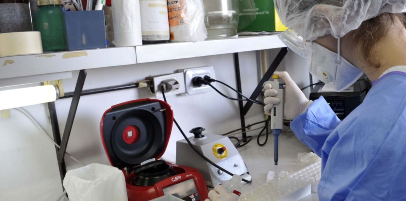 1595114704419.jpg?x=11&y=92&width=1479&height=739&rotate=0&scaleX=1&scaleY=1&ow=1500&oh=996&&cw=1920&ch=950