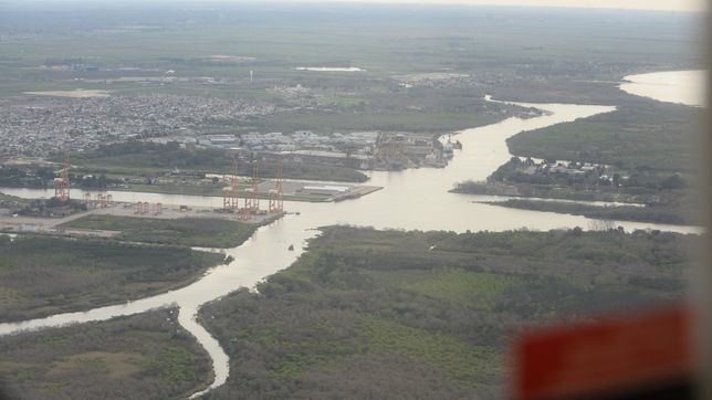 vecinos en alerta por el desmonte y la tala ilegal en una zona riberena de berisso
