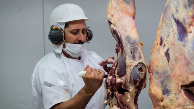 arranco el paro de la carne y los frigorificos no funcionan, pero descartan faltantes