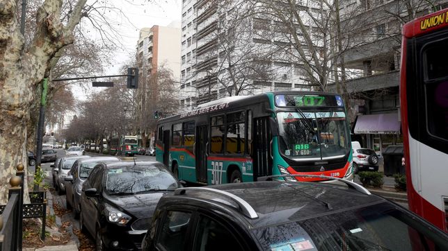ya rige la ley que obliga a usar pictogramas en el transporte publico para mejorar la accesibilidad