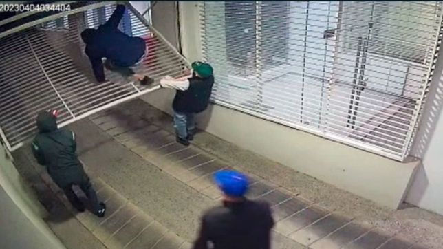videos: los abreportones atacaron un edificio de la plata y quedaron filmados
