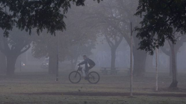 con nieblas y probabilidad de lluvias aisladas: asi seguira el clima el fin de semana