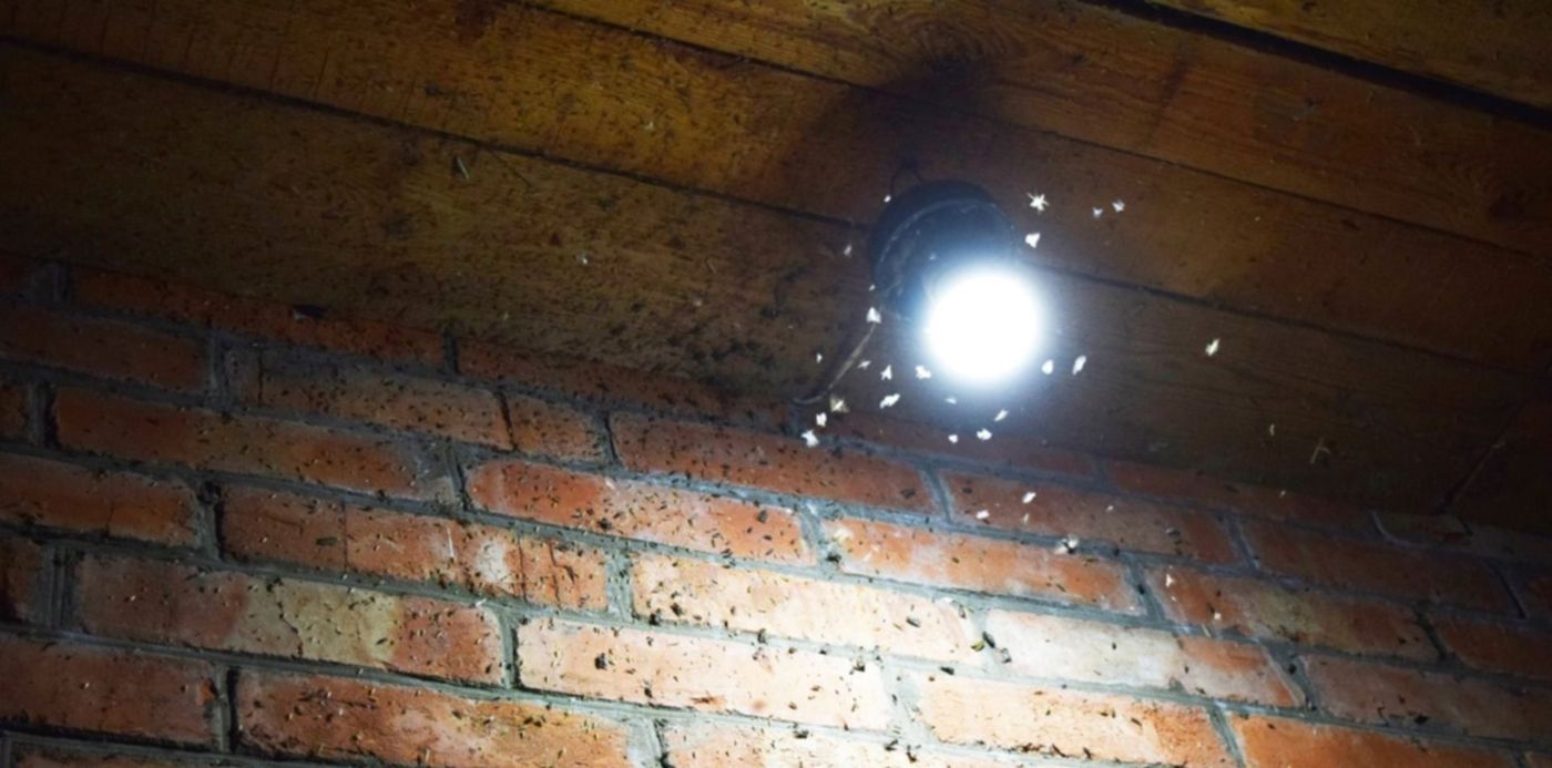 1548954181152.jpg?&cw=1920&ch=950