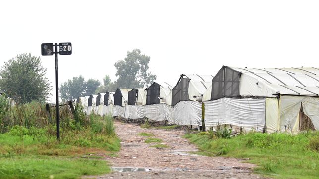 las lluvias afectaron el cordon frutihorticola de la plata y piden obras y asistencia