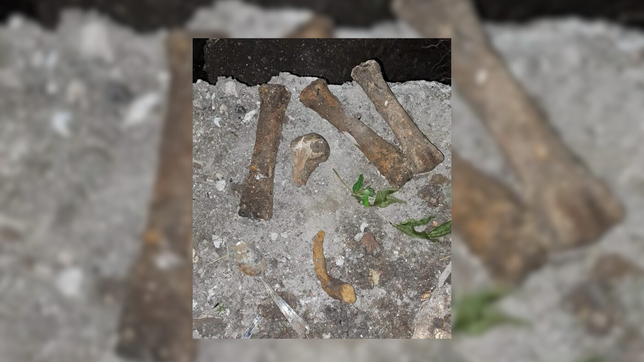 la principal hipotesis del hallazgo de huesos en los hornos que mantiene en vilo a la justicia