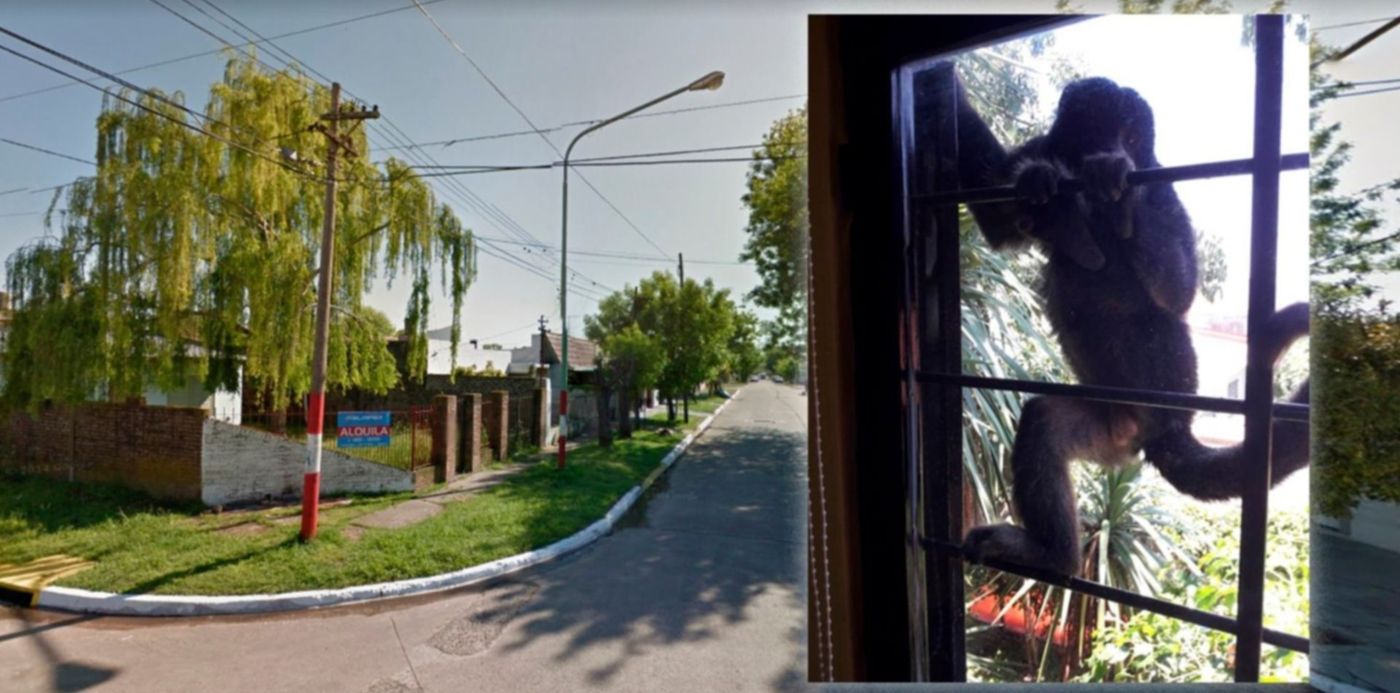 1548339052601.jpg?scaleX=1&ow=1500&y=51&width=1492&height=746&oh=843&x=1&rotate=0&scaleY=1&&cw=1920&ch=950