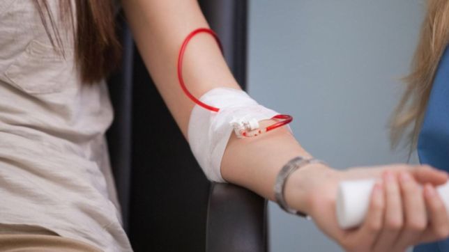 la unlp se suma al dia mundial del donante de sangre con una campana de colecta