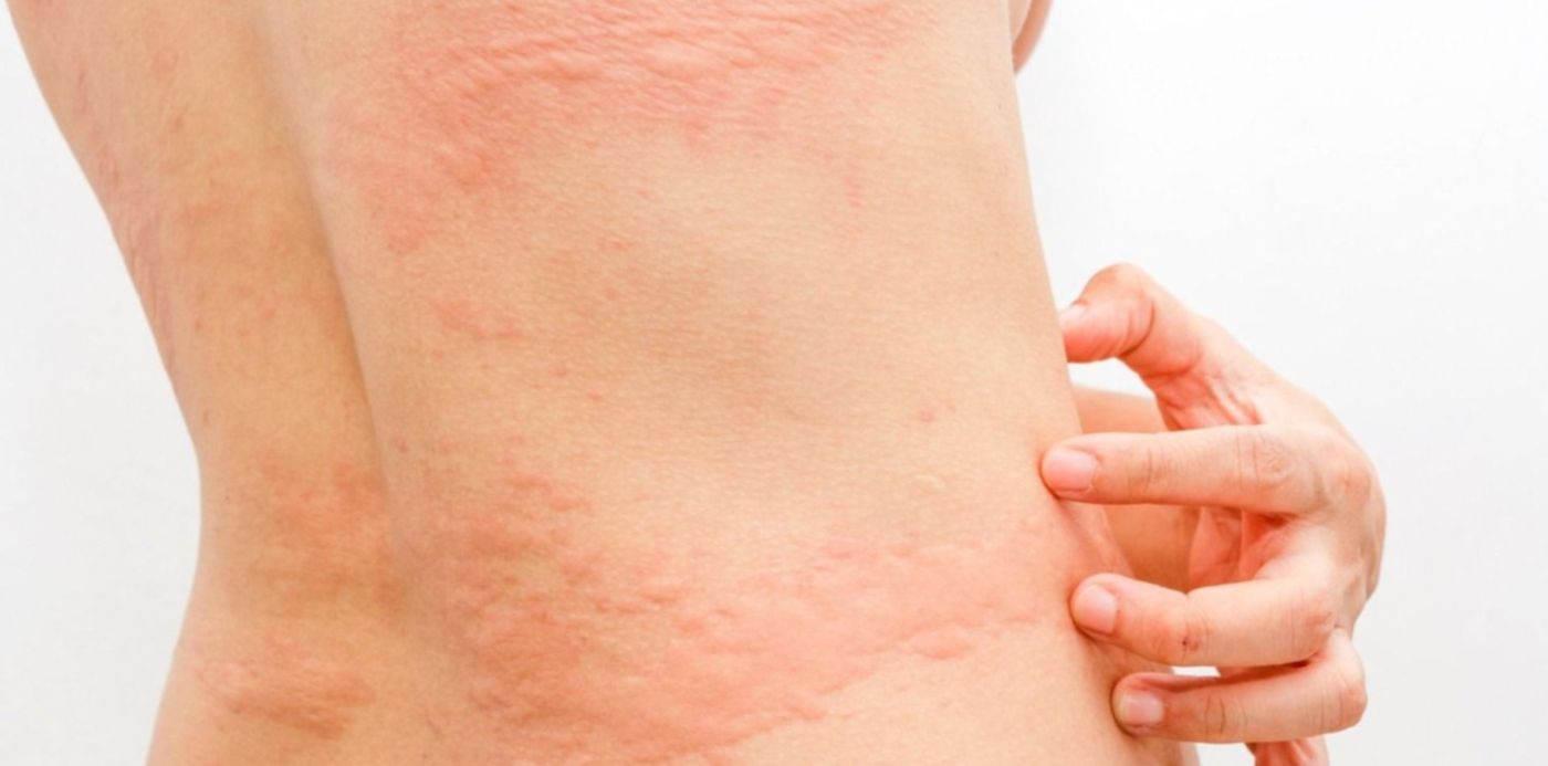 1590502086787.jpeg?x=20&y=22&width=1473&scaleX=1&scaleY=1&ow=1500&oh=780&height=737&rotate=0&&cw=1920&ch=950