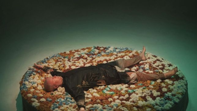 escucha tunel de la vida, lo nuevo de el plan de la mariposa