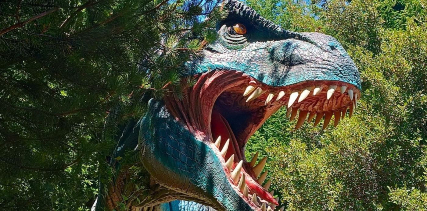 1673396934392.jpg?x= 4&y=180&width=1523&height=761&rotate=0&scaleX=1&scaleY=1&ow=1500&oh=1125&&cw=1920&ch=950