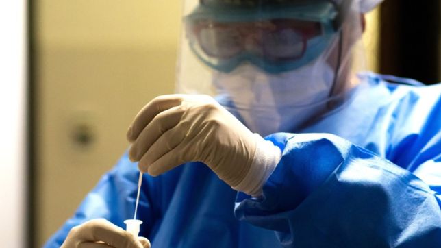 coronavirus en argentina: reportan 981 nuevos contagios y 38 muertes