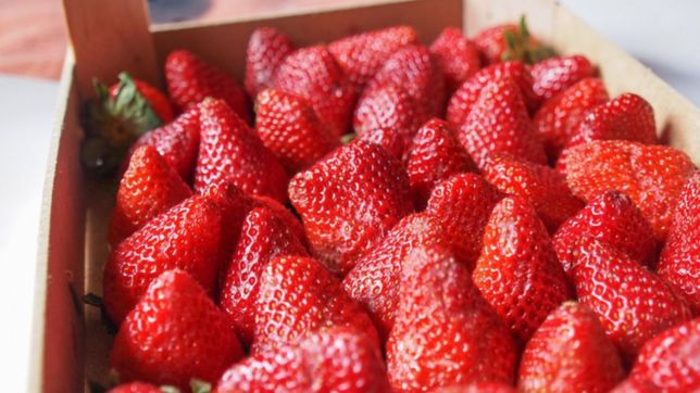 robo dos veces el mismo kiosco, ataco a los duenos y lo atraparon vendiendo frutillas