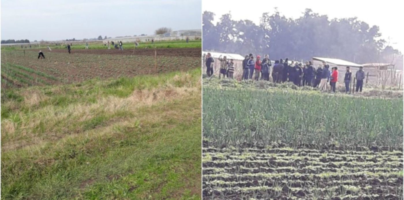 1531589470605.jpg?&cw=1920&ch=950