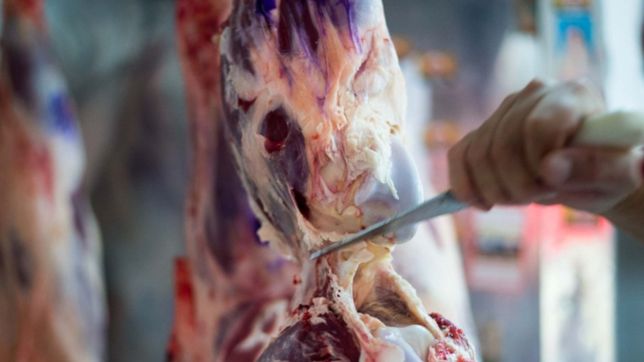 la cuenta dni del banco provincia activo el esperado descuento en carnicerias, pollajerias y pescaderias