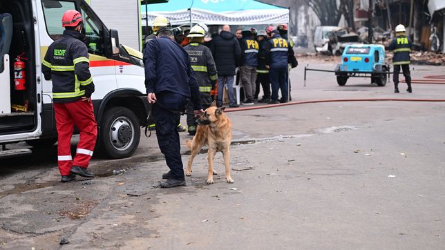 llevan perros al lugar del derrumbe para determinar si hay cuerpos entre los escombros