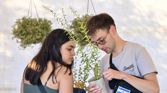 0221.com.ar | La Plata en Flor 2025 (3)