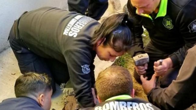 video: asi fue el dramatico rescate del bebe atrapado en un desagüe de ringuelet