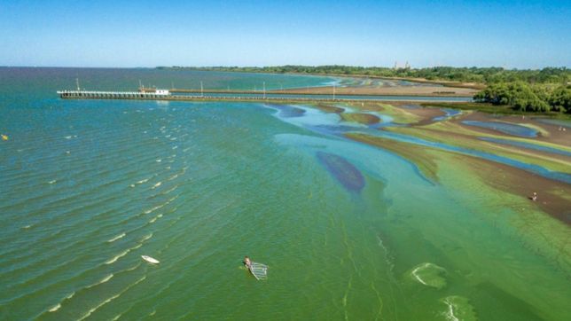 cianobacterias en el rio de la plata: emiten un alerta para berisso y ensenada