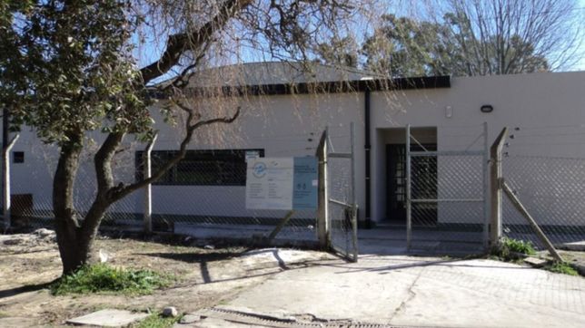 bronca y dolor: mataron a una vaca y robaron siete lechones de una escuela agraria de la  plata