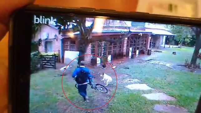 robo una bicicleta de una casa de la plata y lo atrapo el seguridad de una fabrica