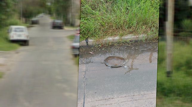en medio de la lluvia aparecio una tortuga de agua por las calles de villa castells