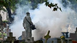 la plata fue invadida por los mosquitos y los vecinos reclaman por fumigacion y cortes de pasto la plata fue invadida por los mosquitos y los vecinos reclaman por fumigacion y cortes de pasto