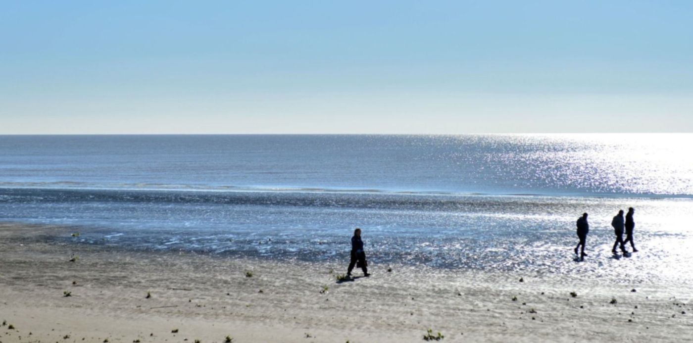 1560958685957.jpg?x=3&y=227&width=1484&height=742&rotate=0&scaleX=1&scaleY=1&ow=1500&oh=982&&cw=1920&ch=950