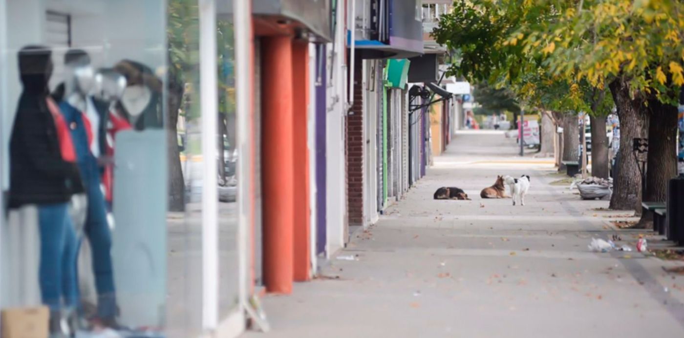 1525183574804.jpg?x=10&y=122&width=1463&height=732&rotate=0&scaleX=1&scaleY=1&ow=1500&oh=998&&cw=1920&ch=950