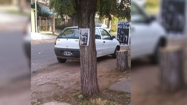 le robaron el auto a una enfermera en la puerta del hospital de ninos de la plata