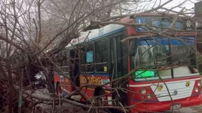 susto entre los pasajeros cuando un arbol cayo arriba de un micro de la linea 273