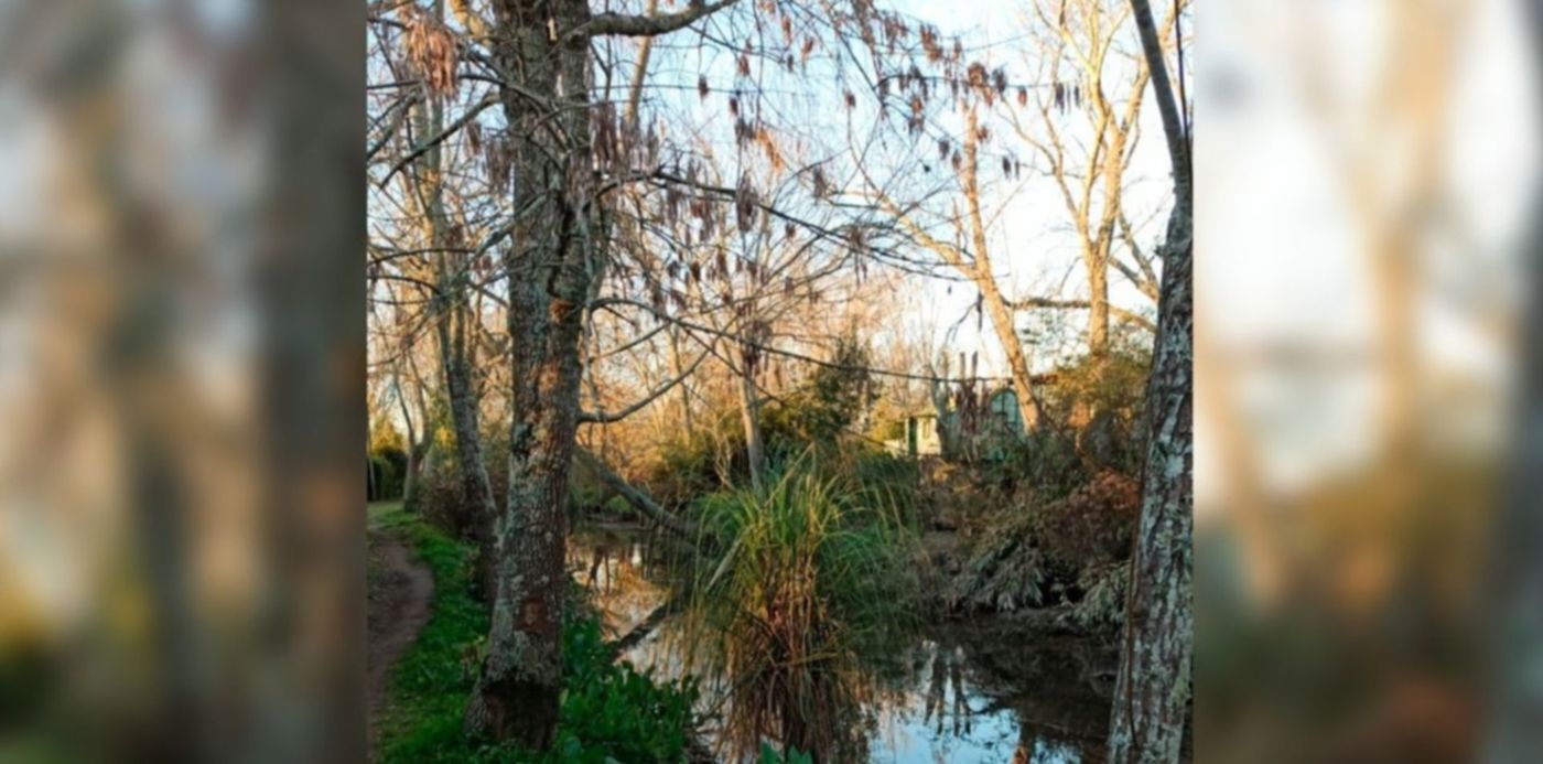 1596151650964.jpg?x=10&y=83&width=1261&height=630&rotate=0&scaleX=1&scaleY=1&ow=1280&oh=719&&cw=1920&ch=950