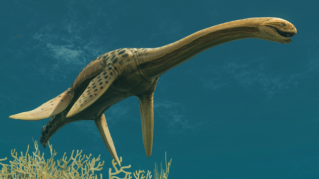 cientificos de la plata hallaron restos de una nueva especie de reptil extinta hace 67 millones de anos