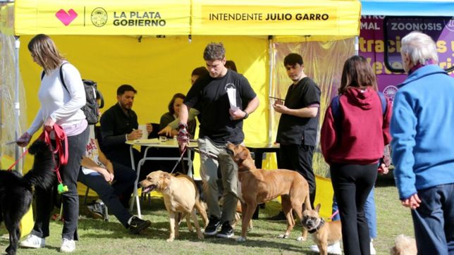 chequeos medicos, eco canje y vacunacion antirrabica en un nuevo barrio por barrio
