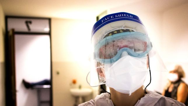 coronavirus en la plata: 842 nuevos casos y 17 muertes en las ultimas 24 horas