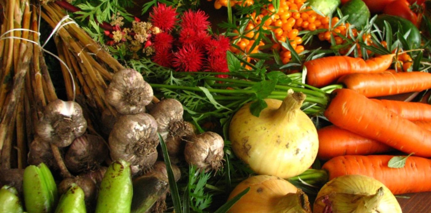 1663891339198.jpg?x=8&y=263&width=1485&height=742&rotate=0&scaleX=1&scaleY=1&ow=1500&oh=1125&&cw=1920&ch=950