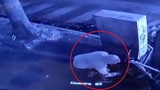 video: en segundos, desarmo una bicicleta y se robo el asiento y una rueda